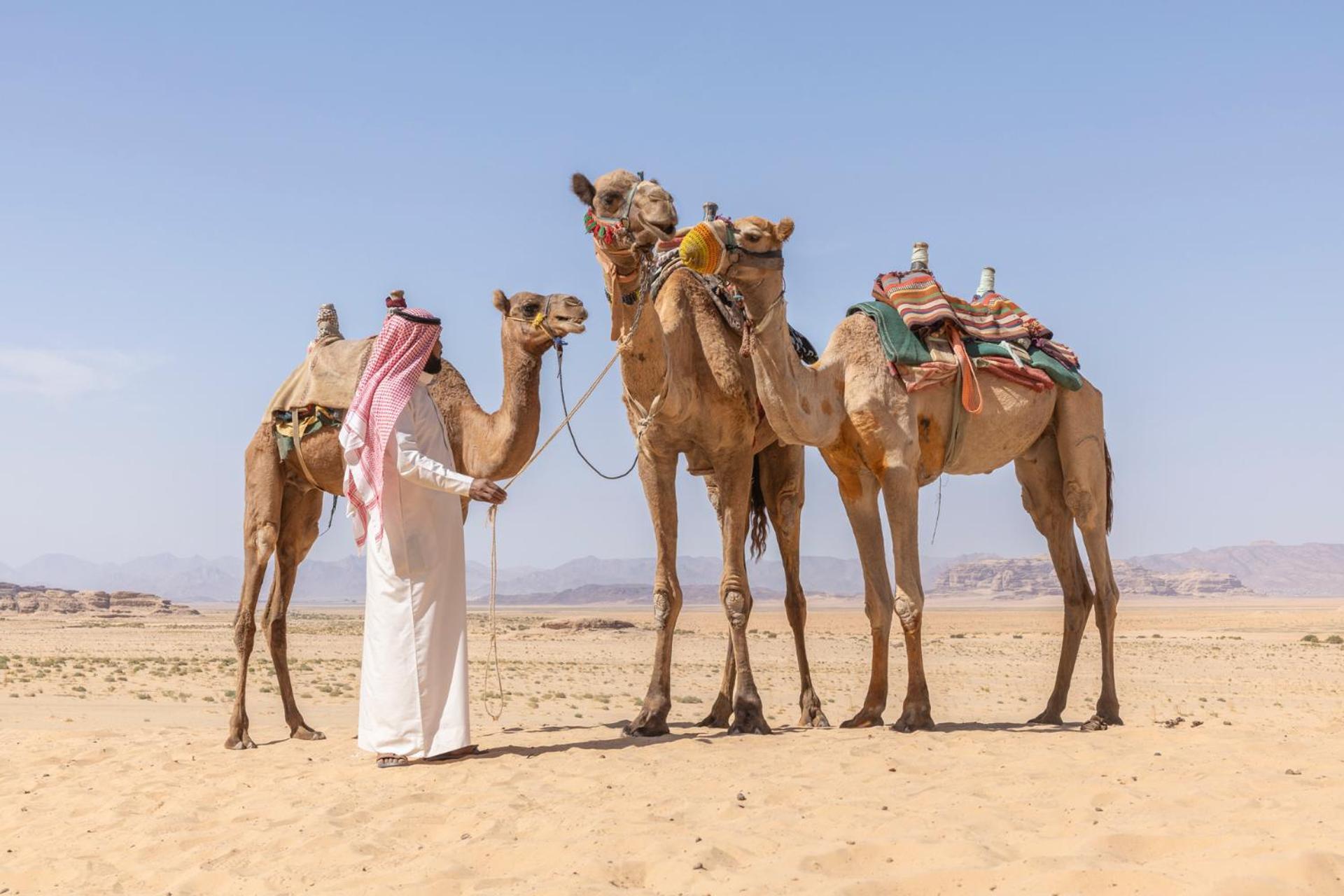 Wadi Rum Camp & Jeep Tour Exterior foto
