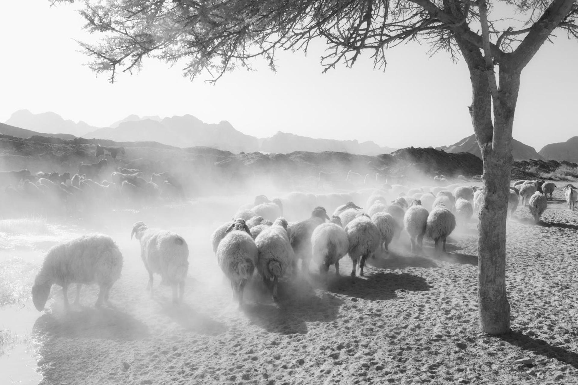 Wadi Rum Camp & Jeep Tour Exterior foto