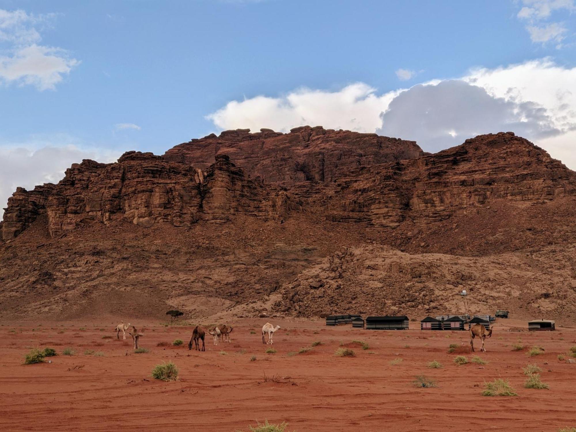 Wadi Rum Camp & Jeep Tour Exterior foto